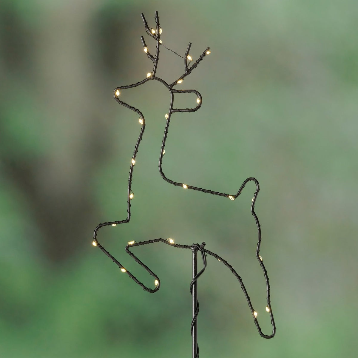 Gartenstab Stewart