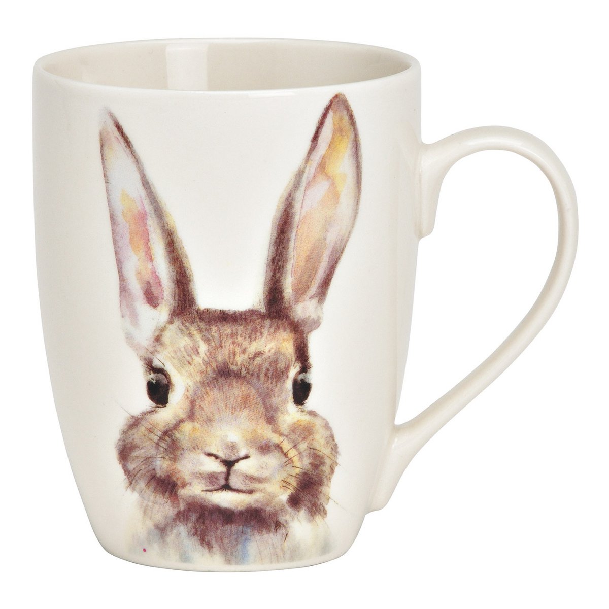 Becher Hase